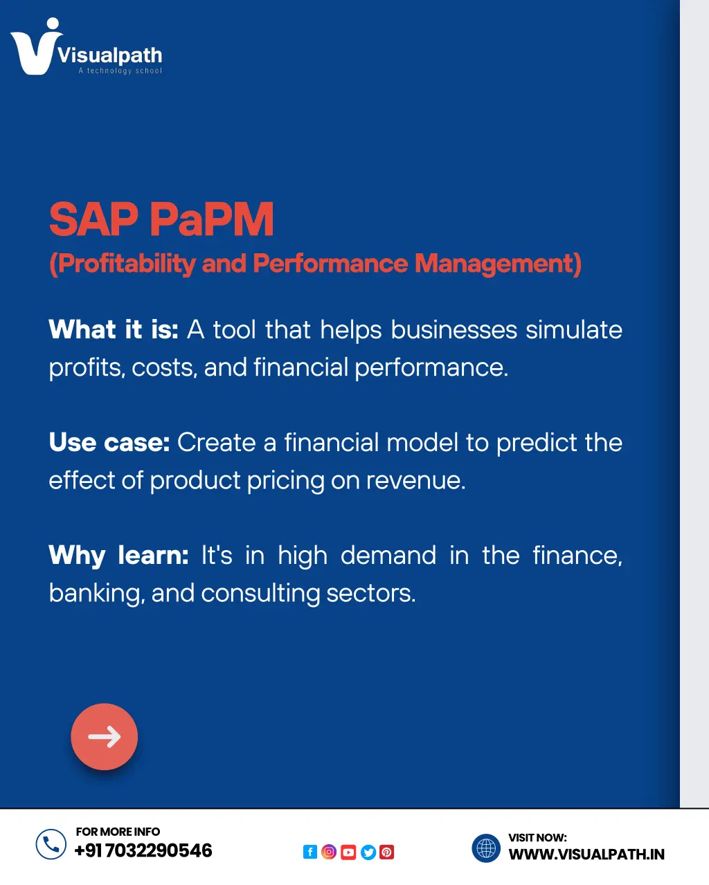 sap papm profitability and performance management