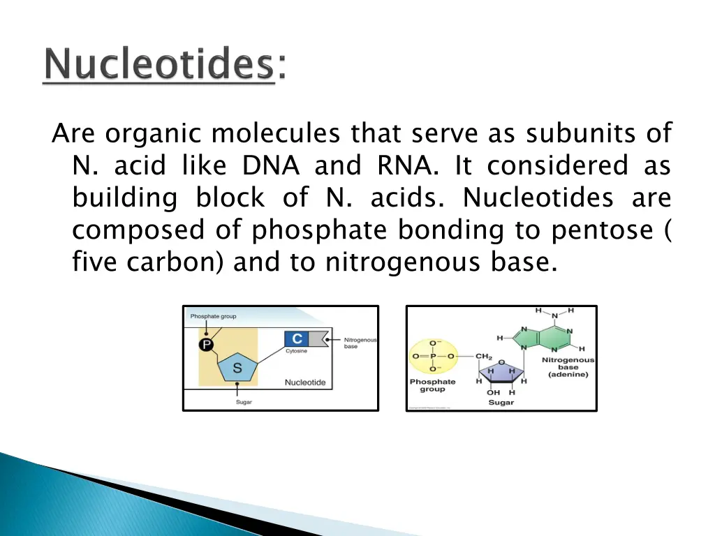 are organic molecules that serve as subunits