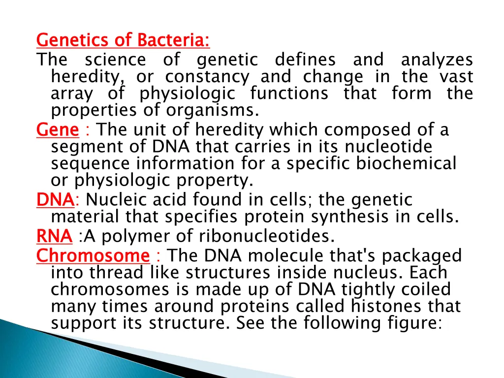 genetics of bacteria the heredity or constancy