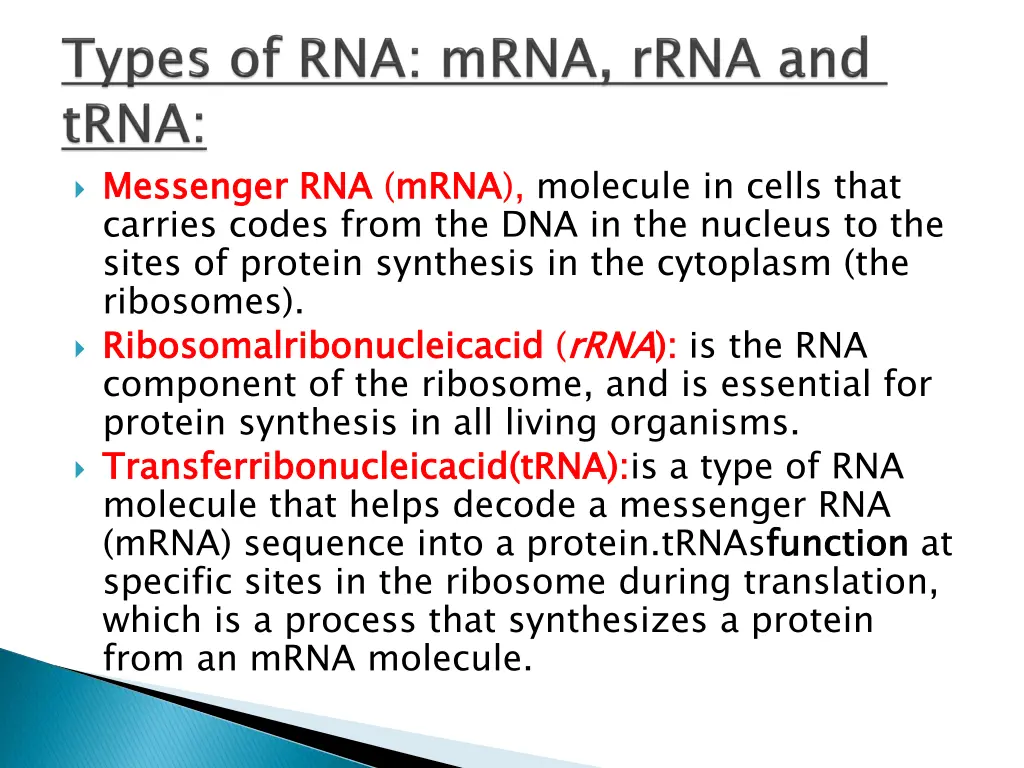 messenger rna carries codes from