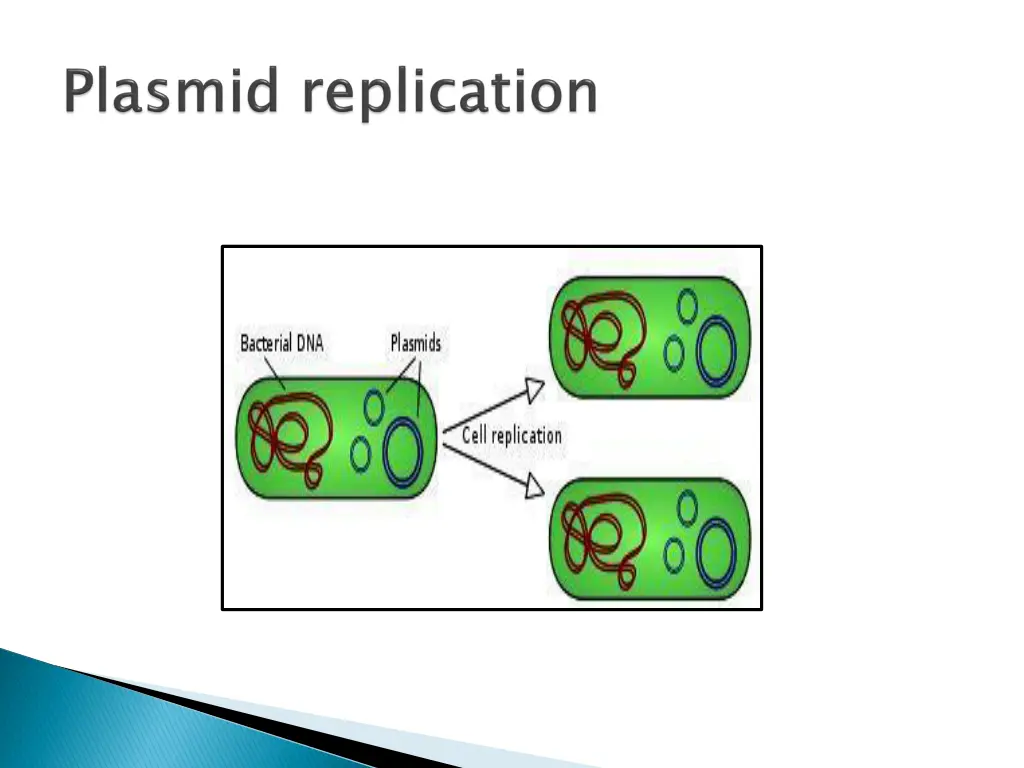 slide18