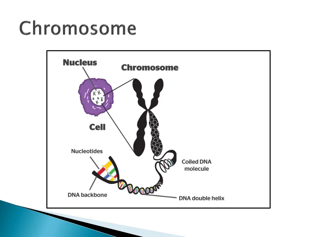 slide3