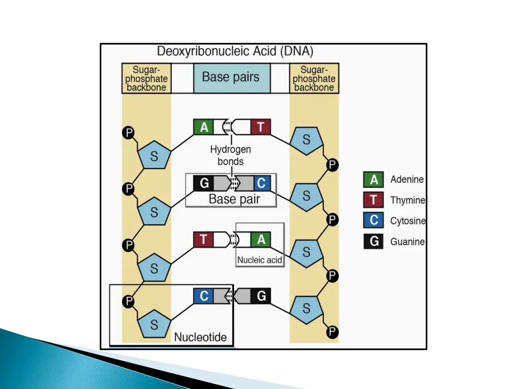 slide8