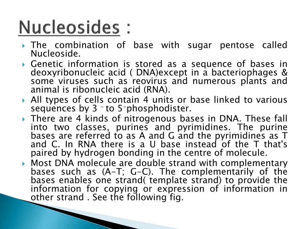 the combination of base with sugar pentose called