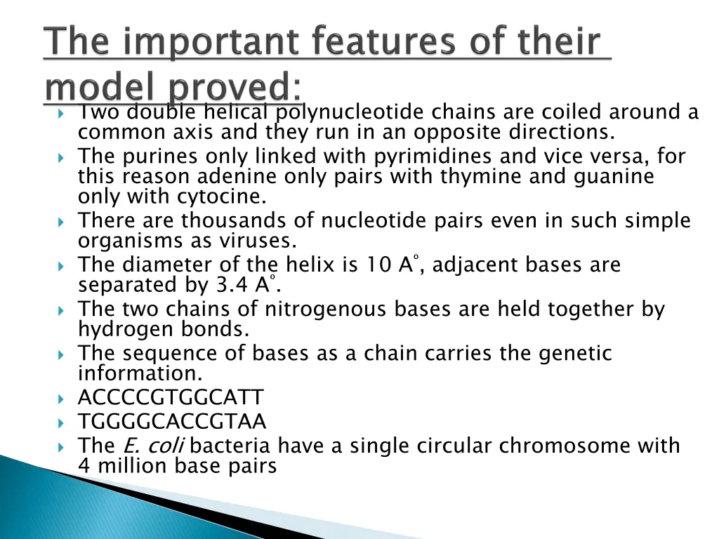 two double helical polynucleotide chains