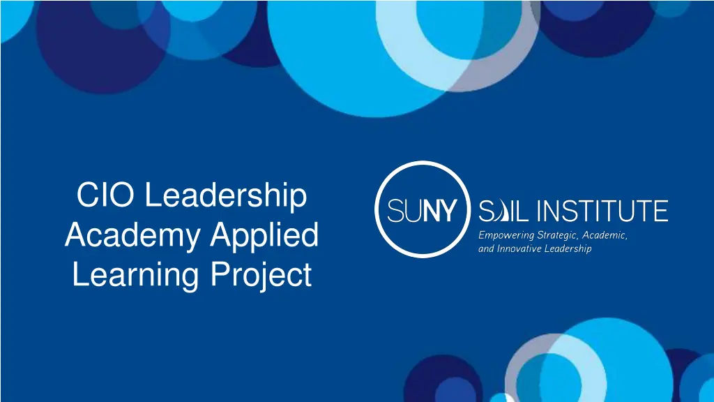 cio leadership academy applied learning project