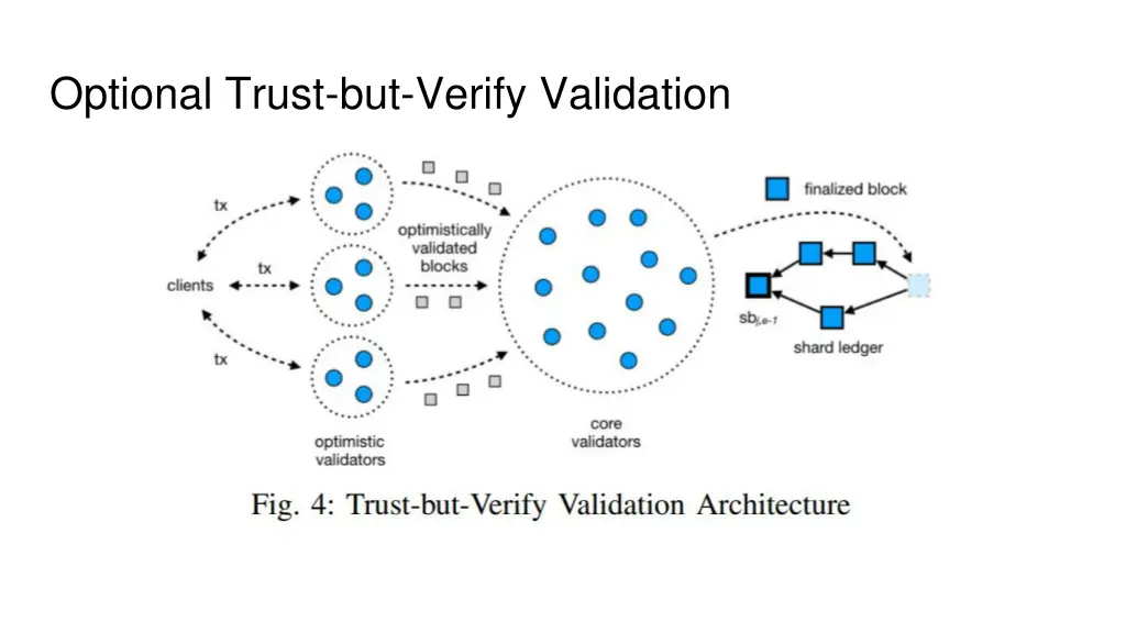 optional trust but verify validation
