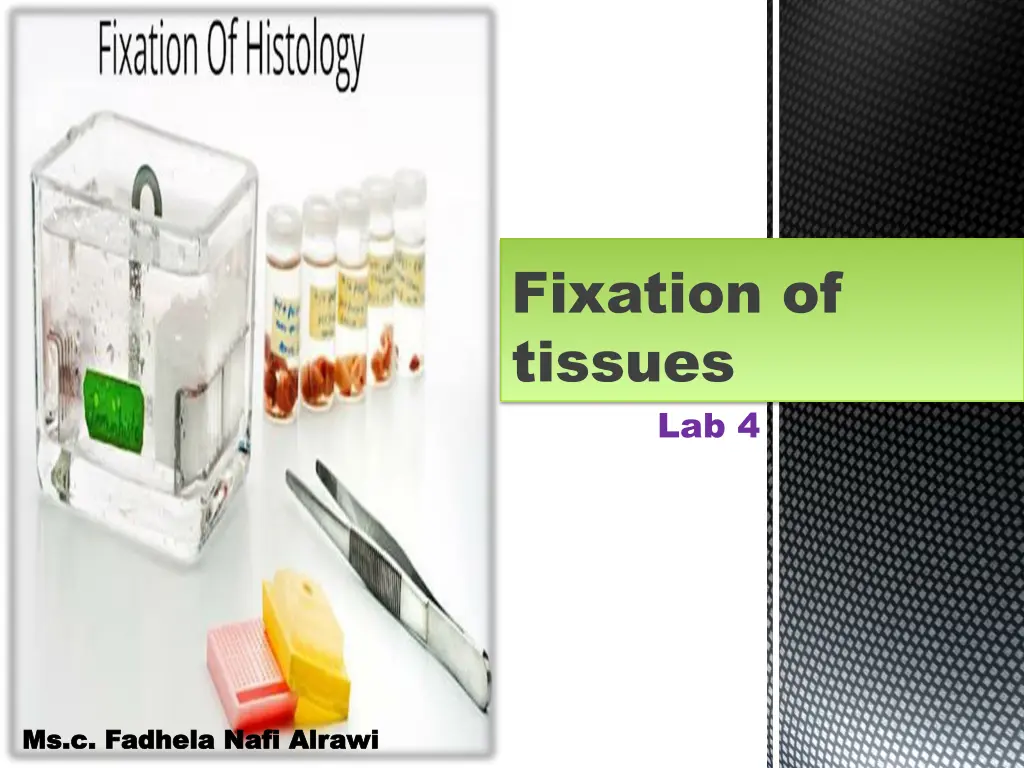 fixation of tissues