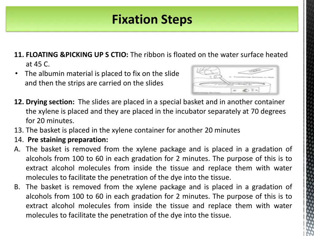 fixation steps 2
