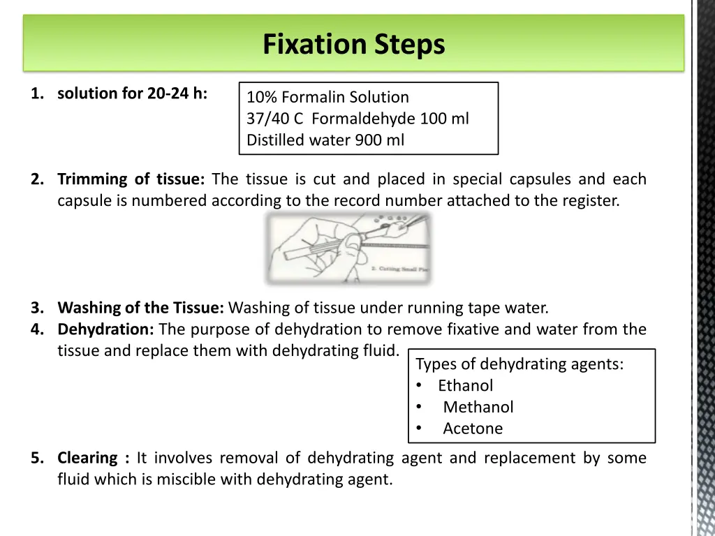 fixation steps