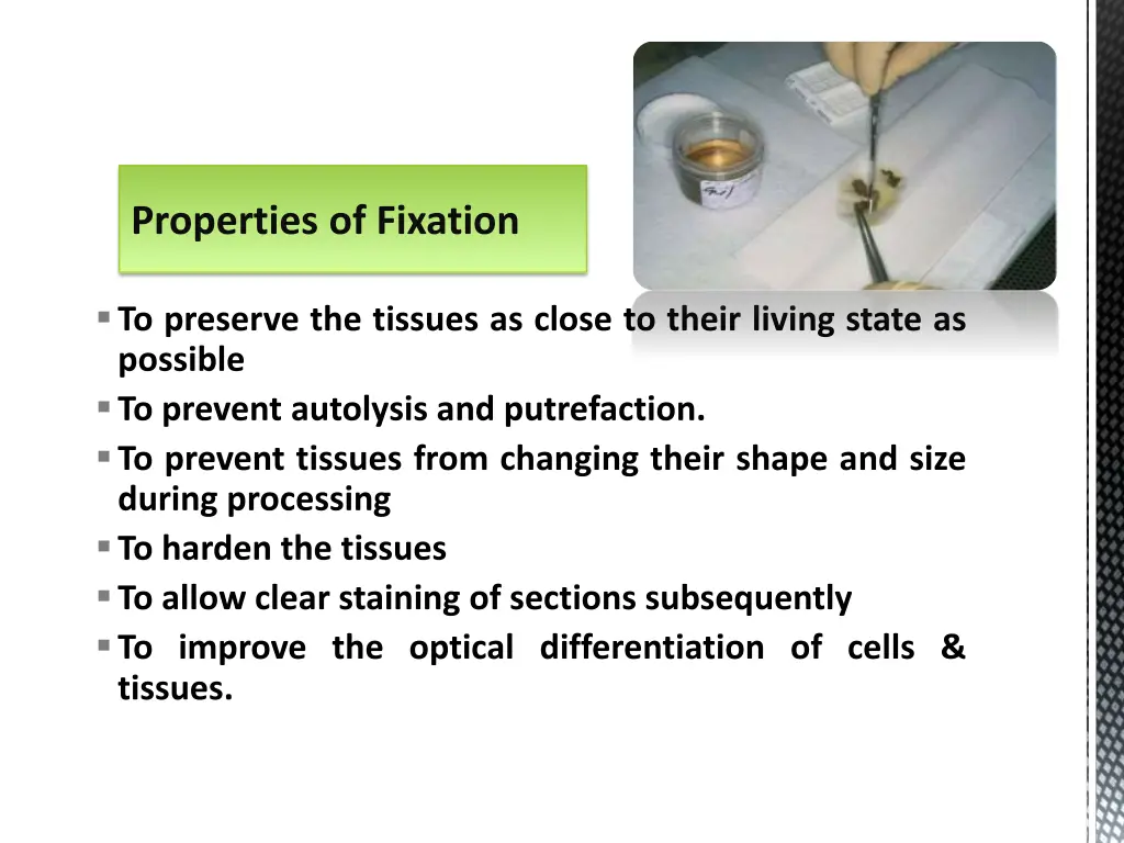 properties of fixation
