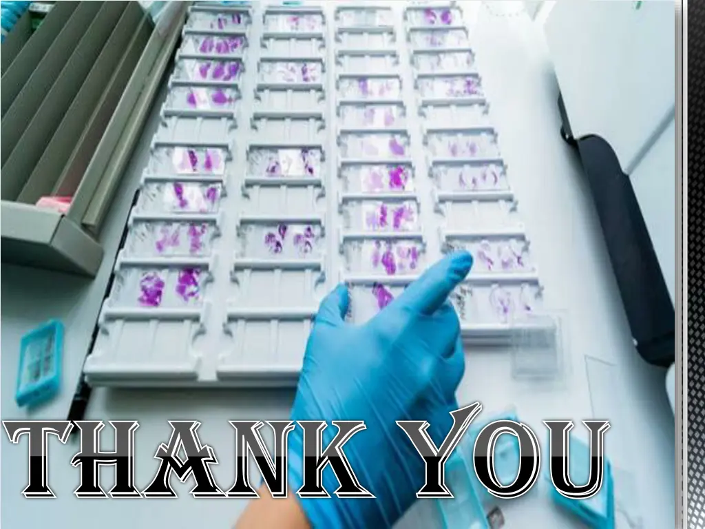 thank you thank you