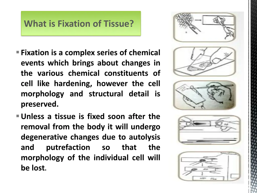 what is fixation of tissue