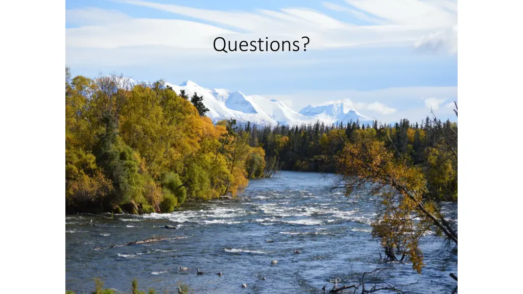 questions