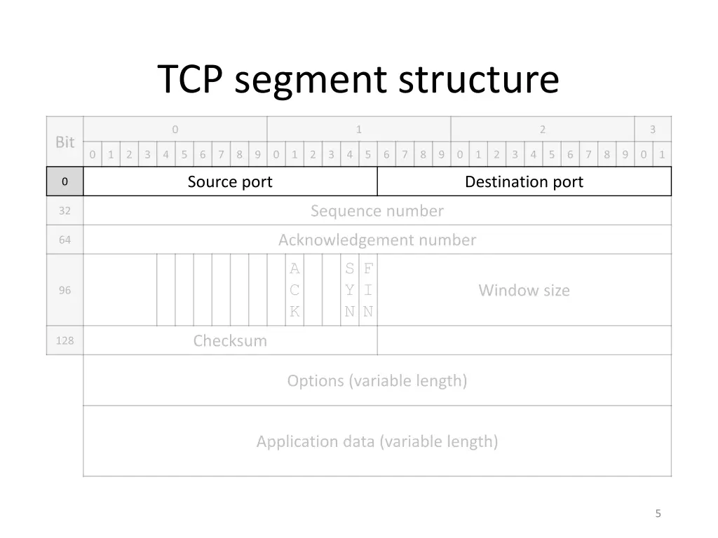 tcp segment structure 1