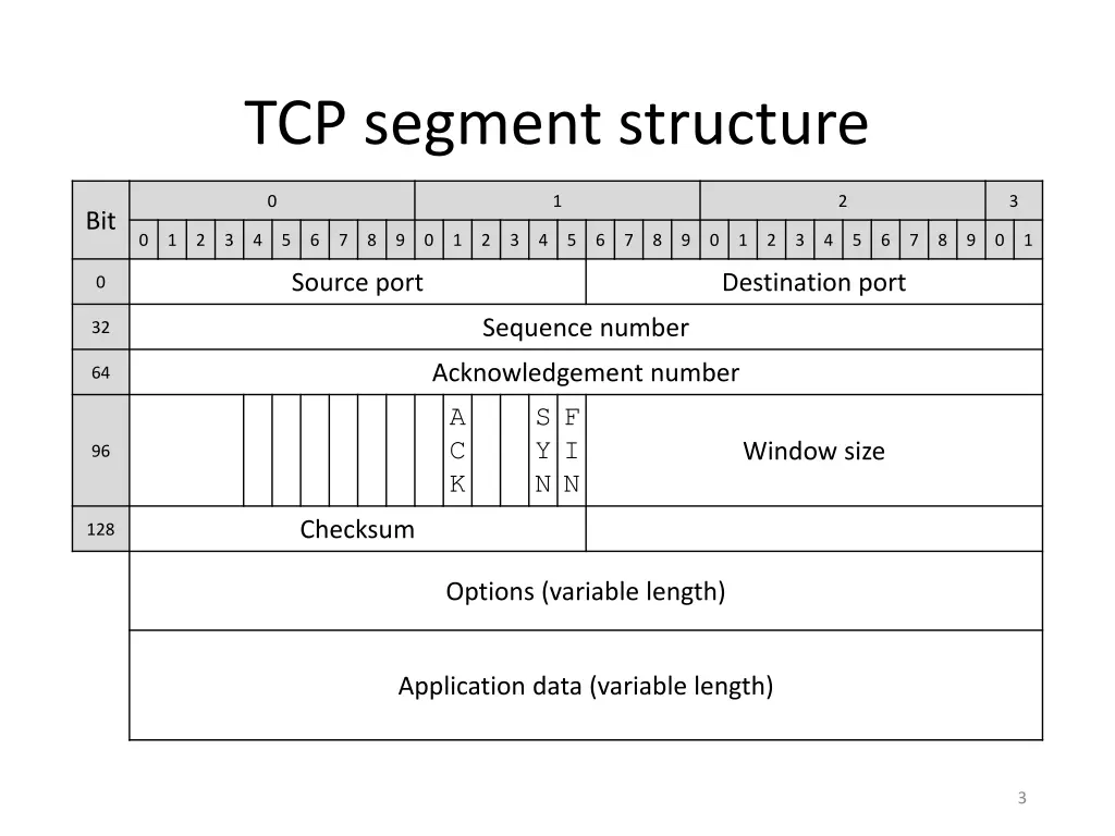 tcp segment structure