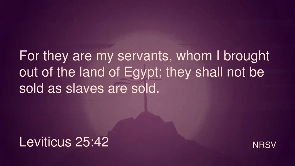 for they are my servants whom i brought