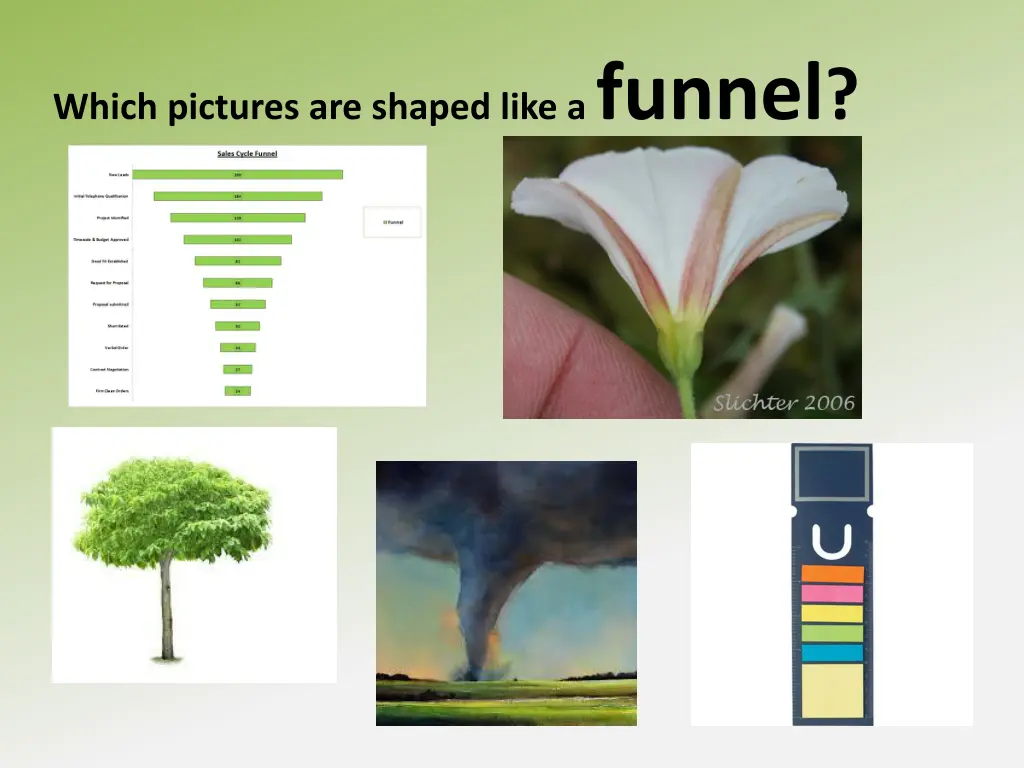 which pictures are shaped like a funnel