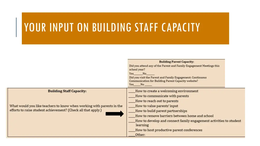 your input on building staff capacity