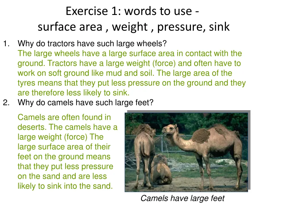 exercise 1 words to use surface area weight