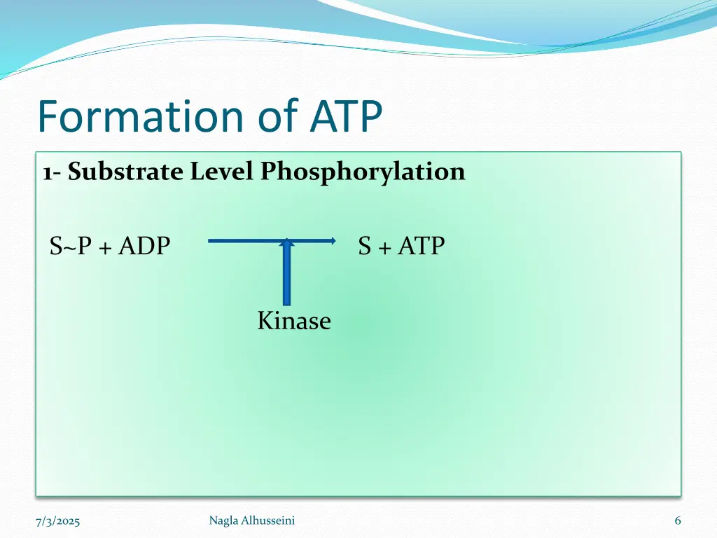 formation of atp