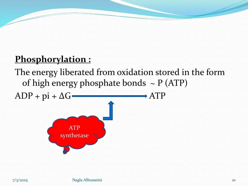 phosphorylation the energy liberated from