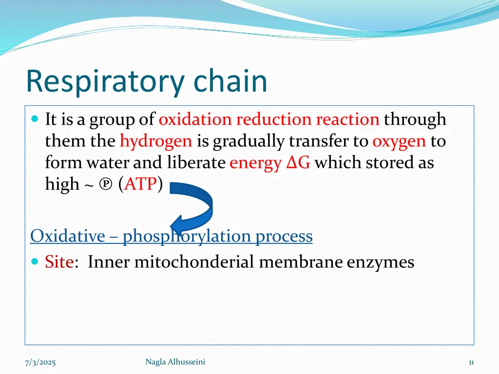 respiratory chain