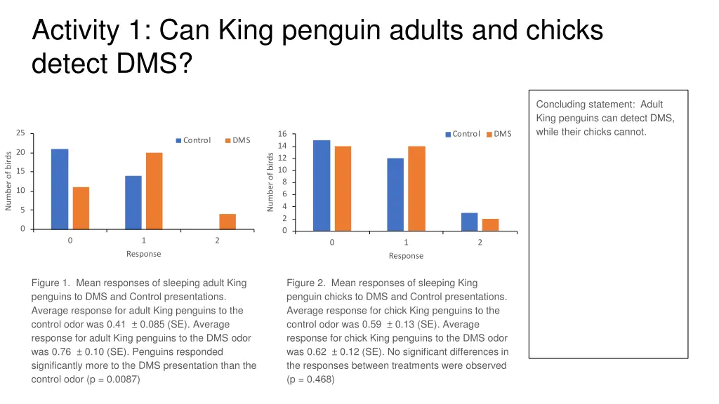 activity 1 can king penguin adults and chicks