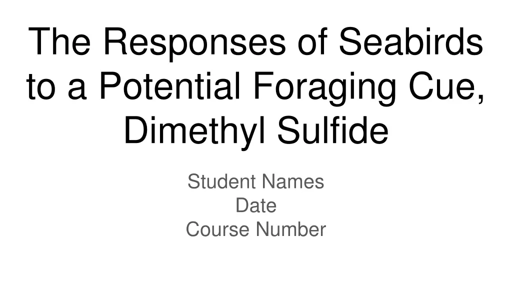 the responses of seabirds to a potential foraging