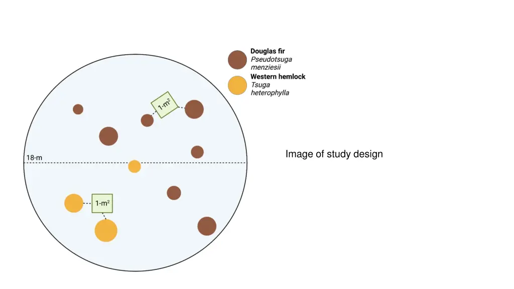 image of study design