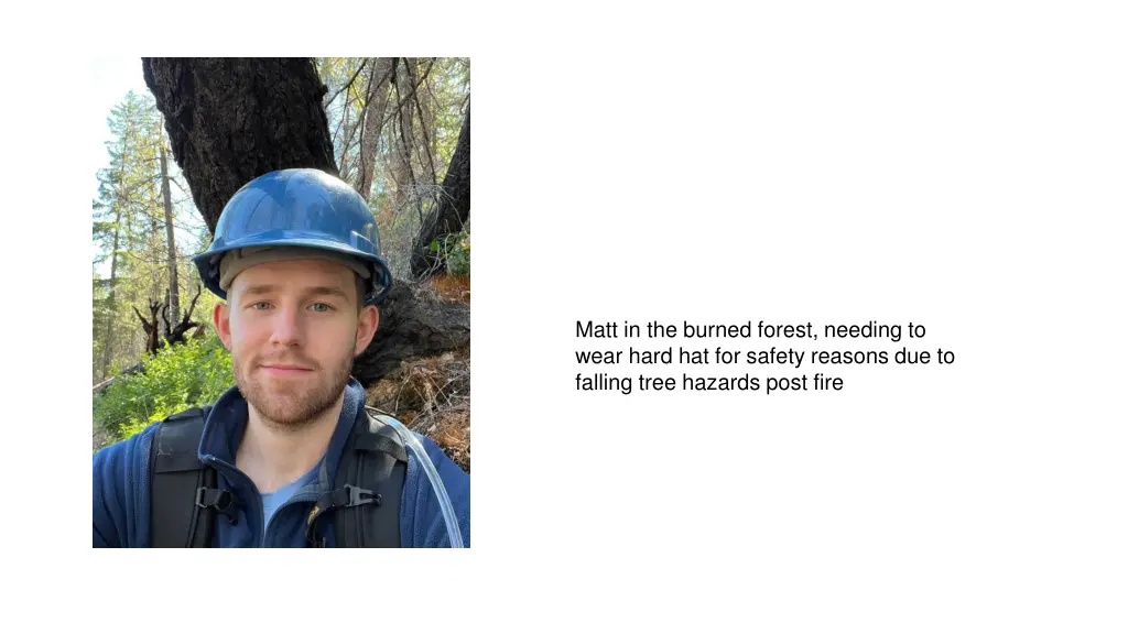 matt in the burned forest needing to wear hard