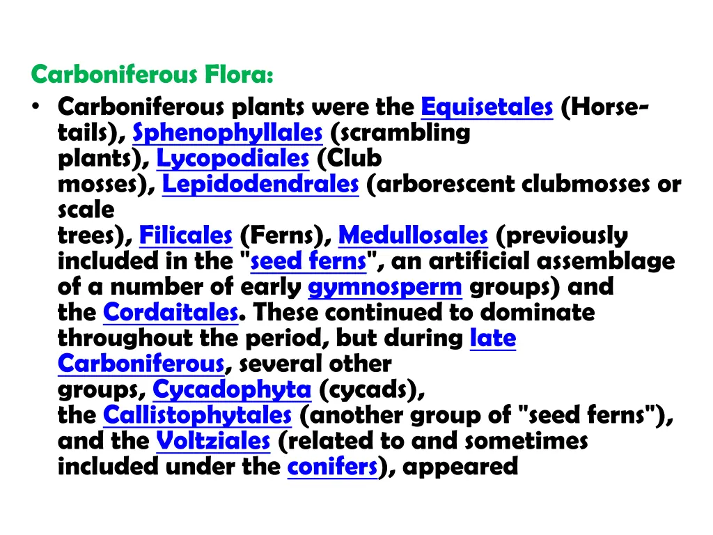 carboniferous flora carboniferous plants were