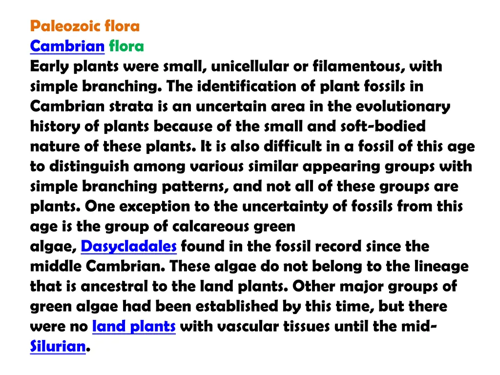 paleozoic flora cambrian flora early plants were