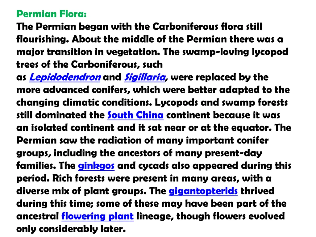 permian flora the permian began with