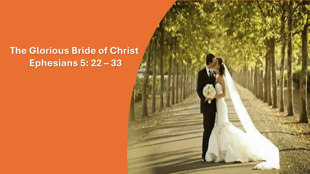 the glorious bride of christ ephesians 5 22 33