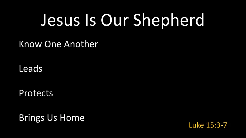 jesus is our shepherd 3