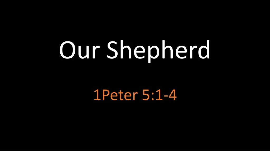 our shepherd