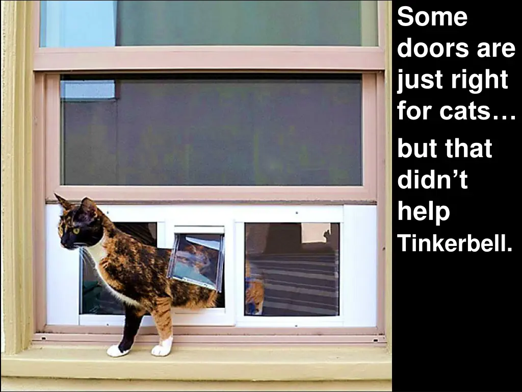 some doors are just right for cats but that didn