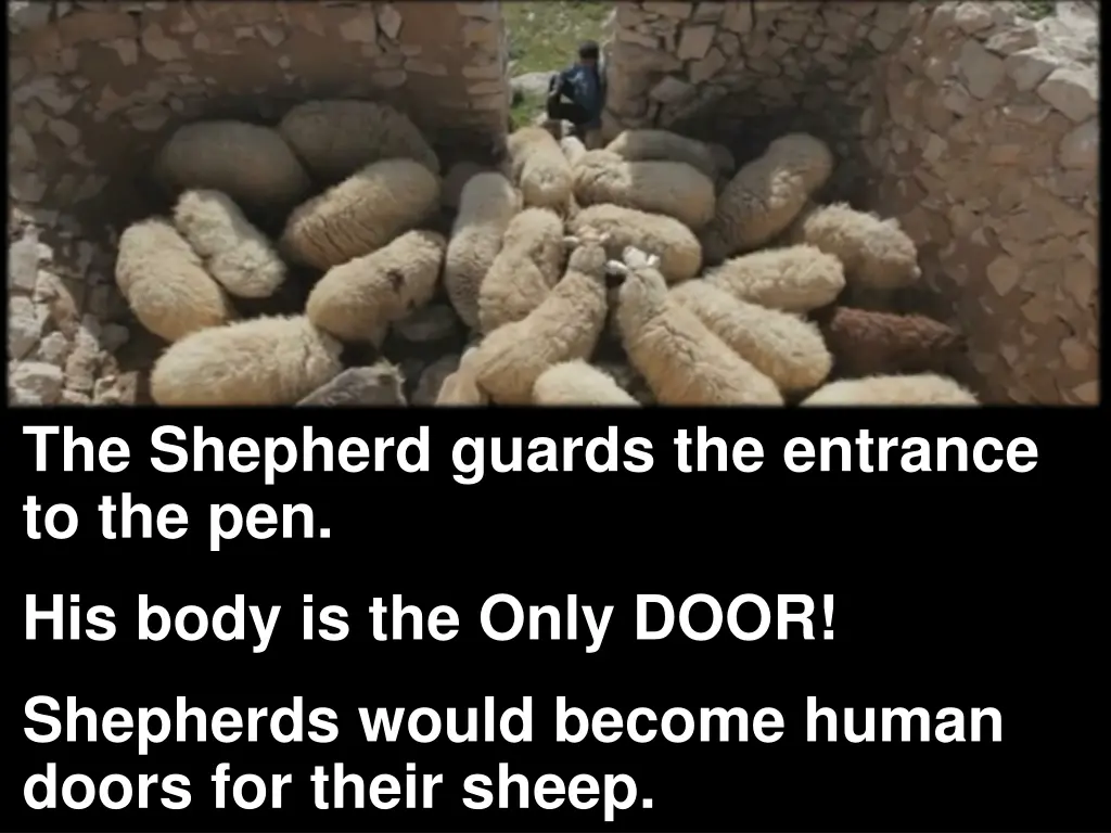 the shepherd guards the entrance