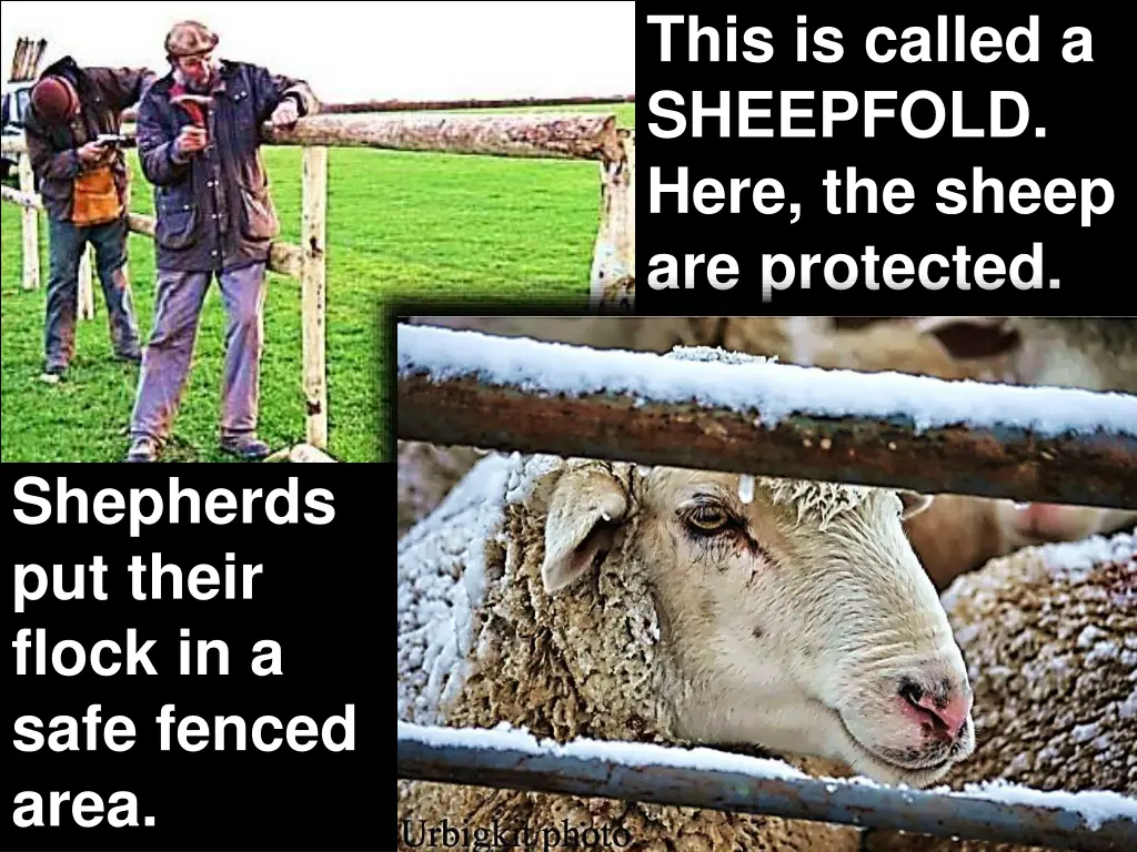 this is called a sheepfold here the sheep