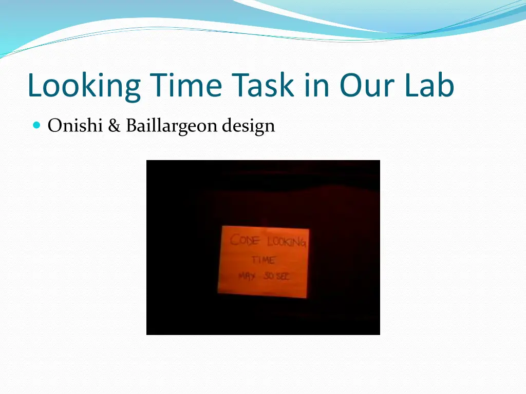 looking time task in our lab