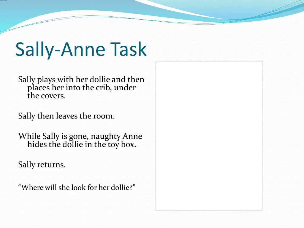 sally anne task