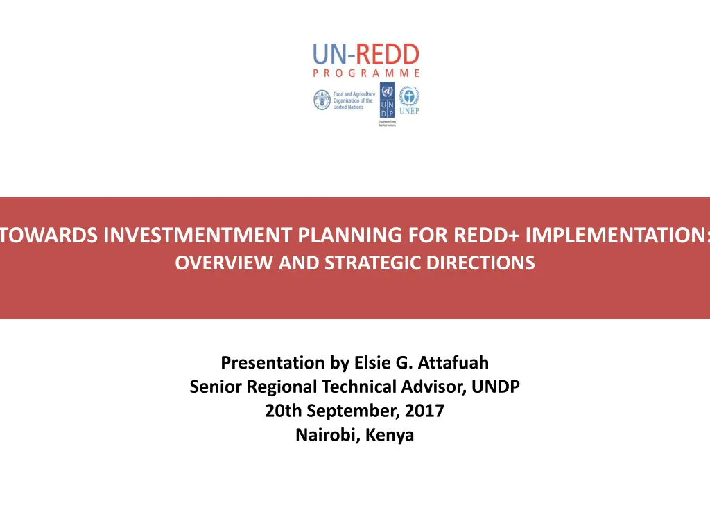 towards investmentment planning for redd