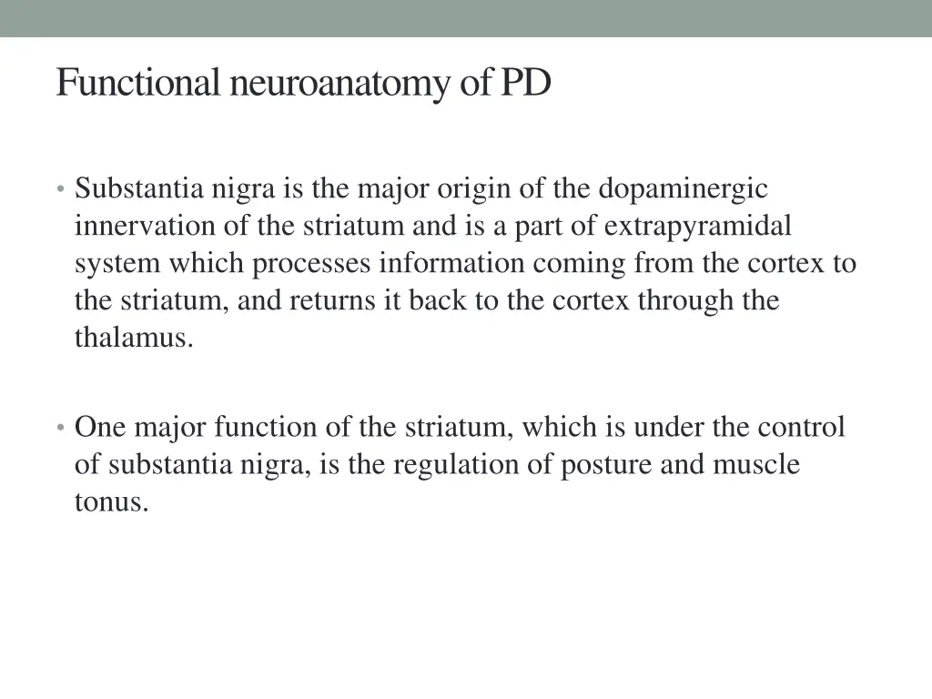 functional neuroanatomy of pd