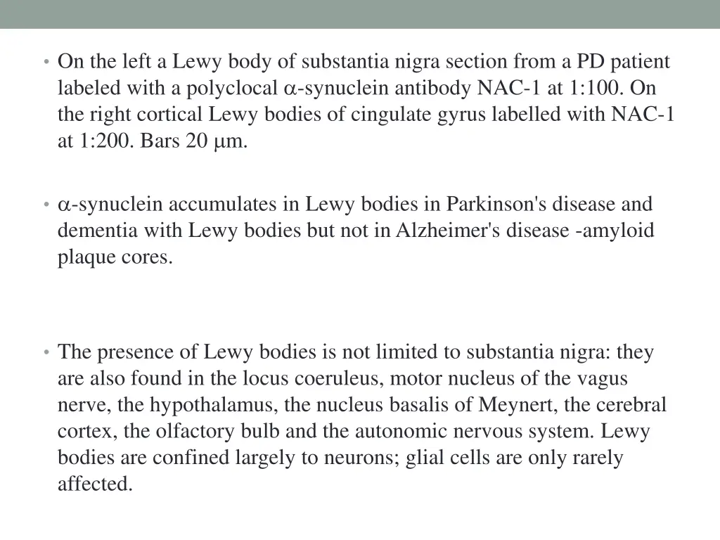 on the left a lewy body of substantia nigra