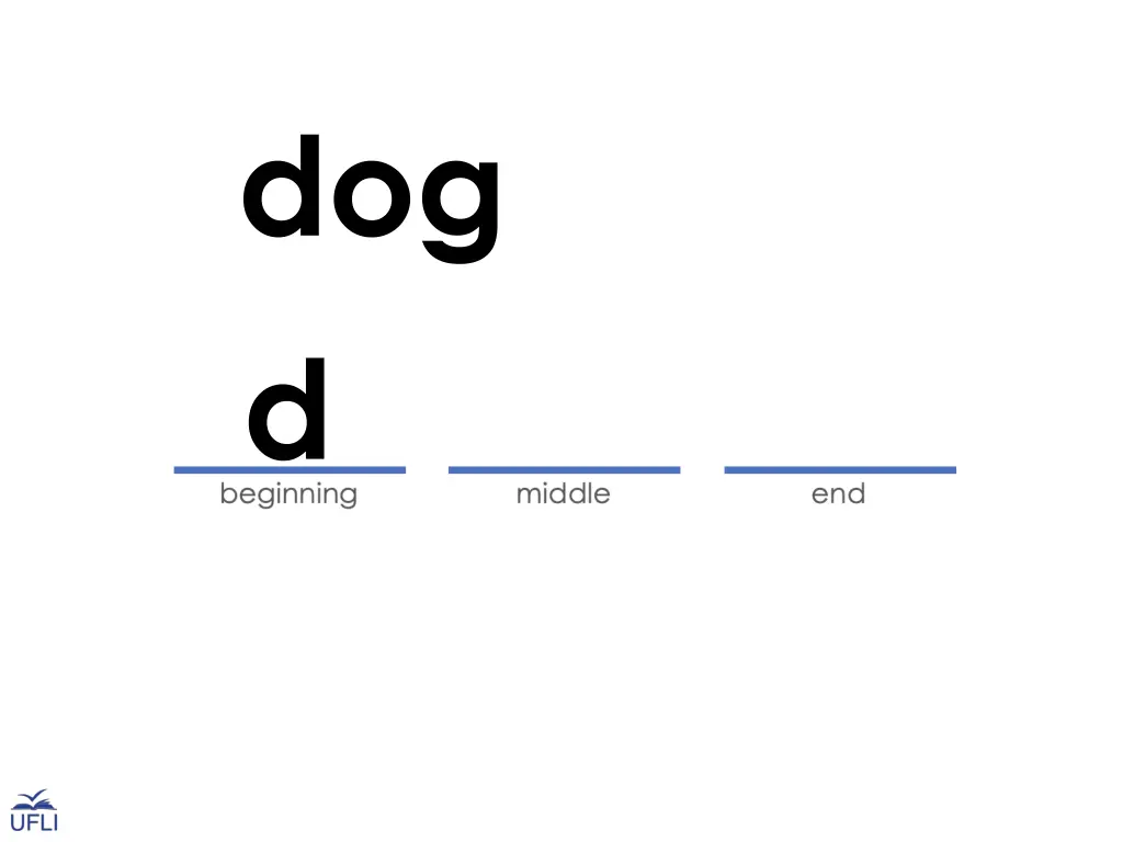 dog d