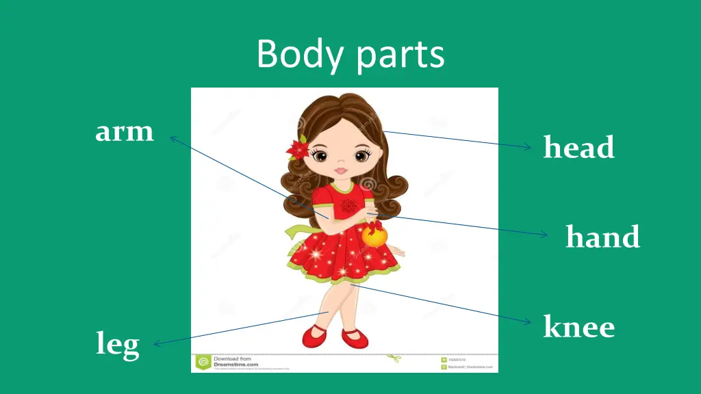 body parts