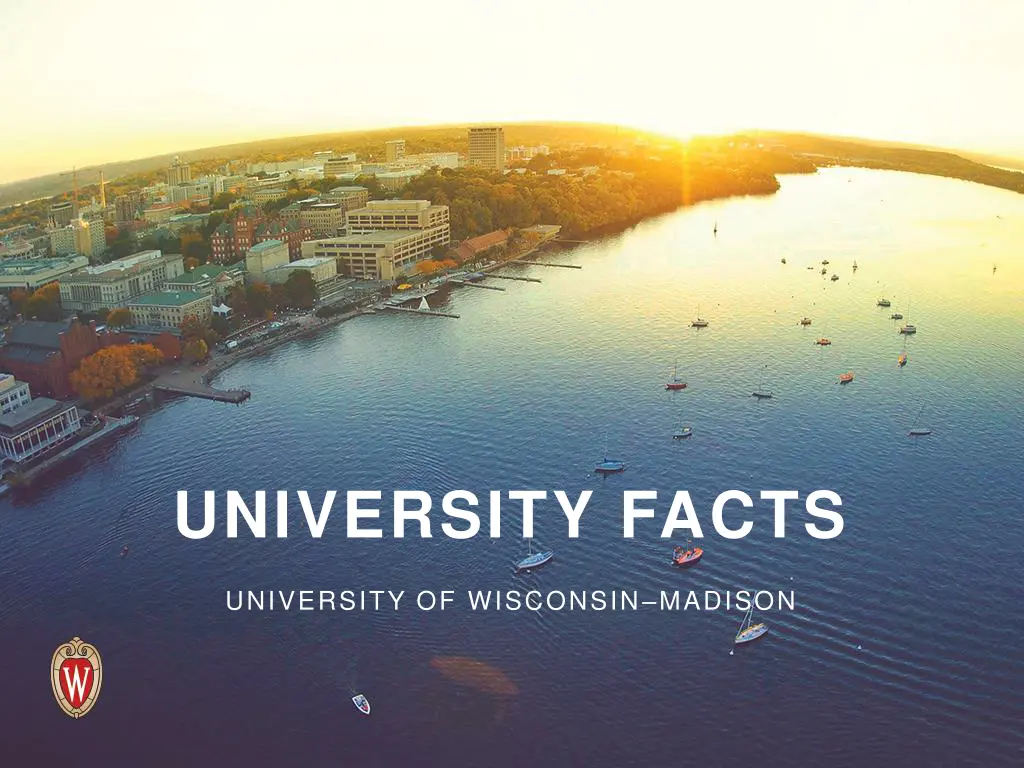 university facts