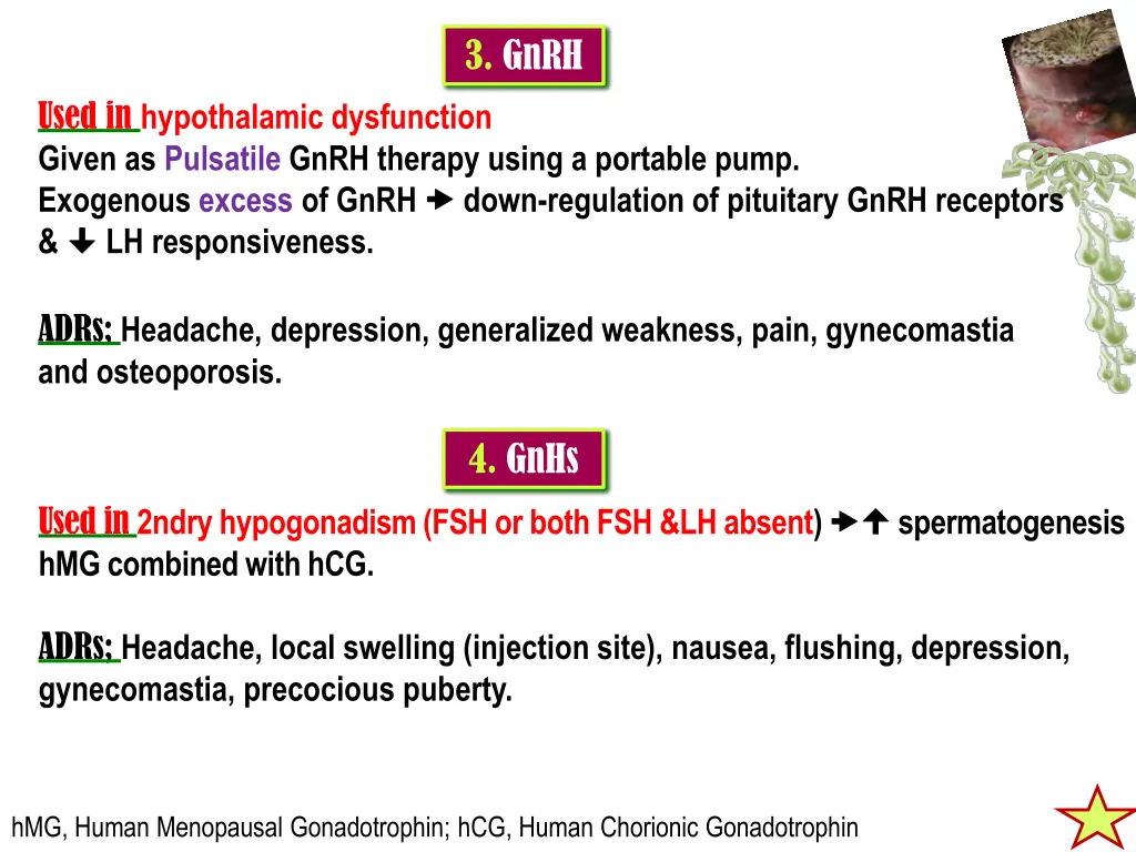 3 gnrh