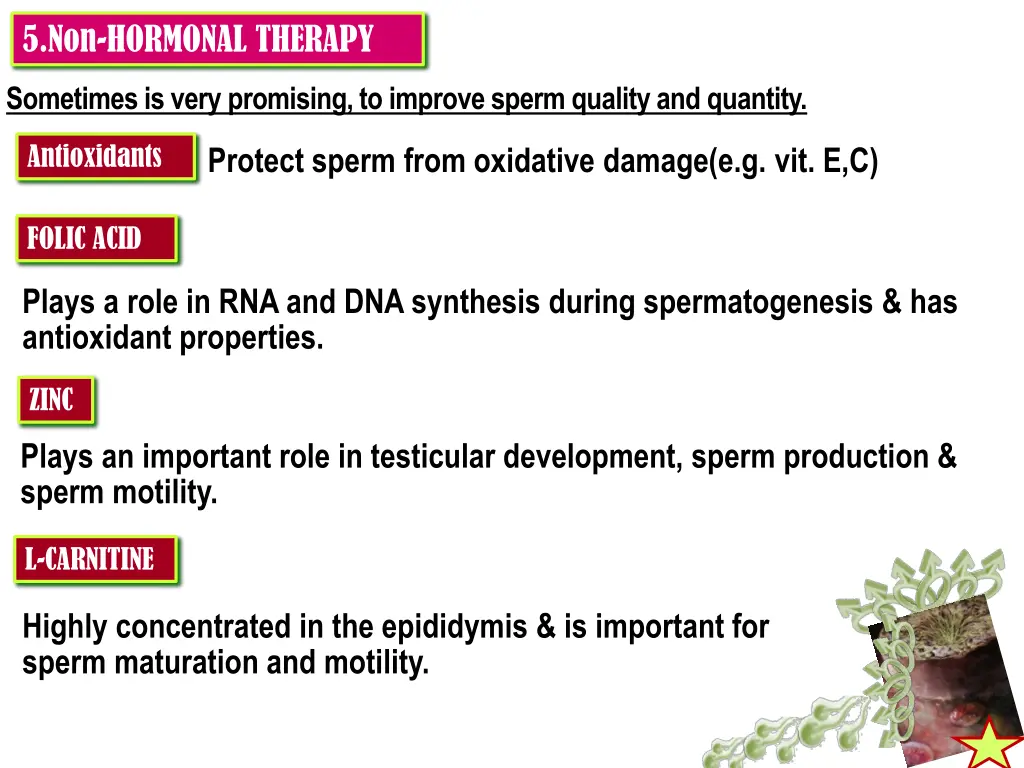 5 non hormonal therapy